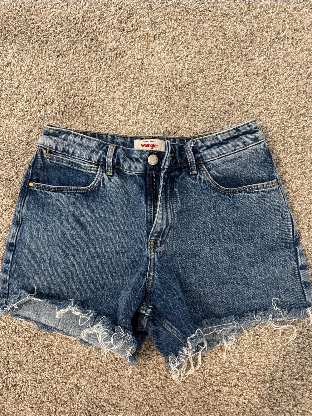 Wrangler Distressed Frayed Hem Denim Shorts in Blue